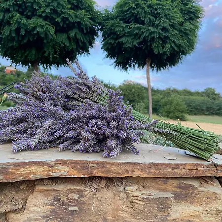 Kucica Velika Remeta