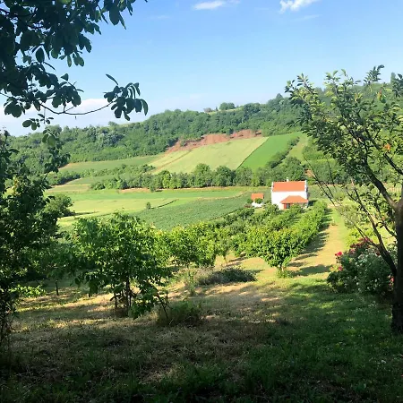 Kucica