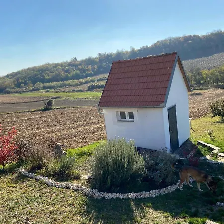 Kucica