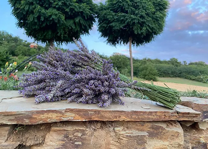 Kucica Velika Remeta